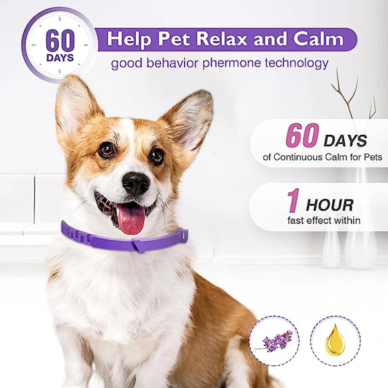 3/4 Pc Dogs Calming Pheromone Collars Pets Relieve Anxiety Adjustable Comfortable Collar For Puppy Kitten Large Dog Accessories